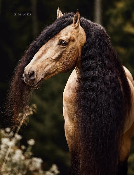  -   ! - 21  2025  17:09