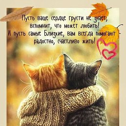 ������, ������������, 39 ���