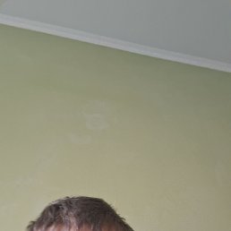 , 38, 