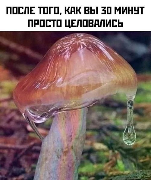  - 24  2025  16:18