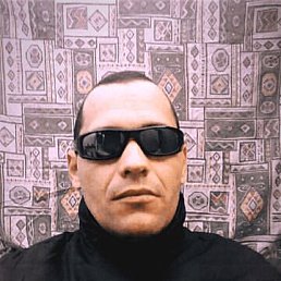 , 41 , 