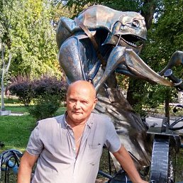 ���� ����, ������, 66 ��� - ��������� 6 ������ 2024