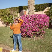 ������, , ������ �����