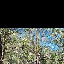 ���� ����, ������, 52 ���� - ��������� 19 ������� 2026 � ������ ���� ����������