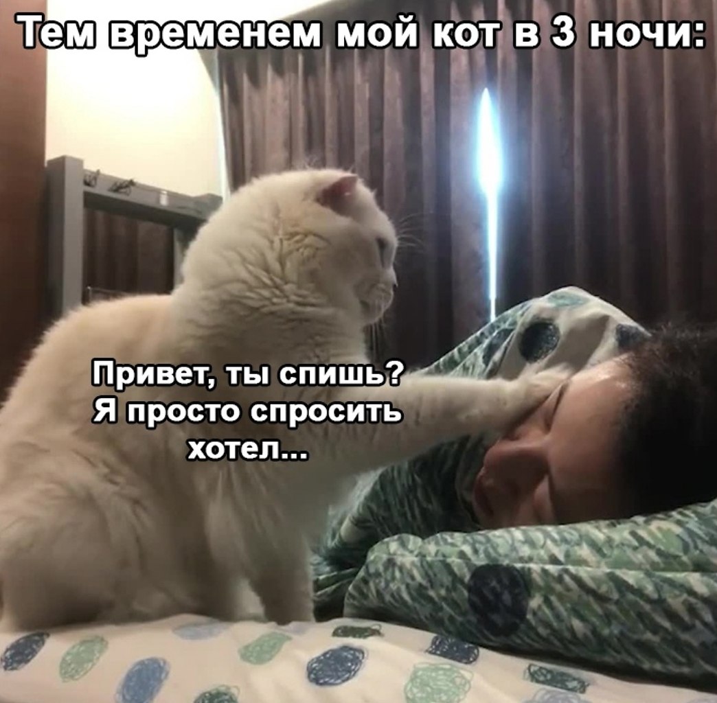     - 2