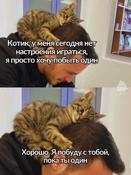 Лучшая поддержка, которая только может быть