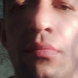 ��������, ������, 41 ���