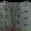  , , 56  -  25  2024    