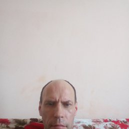 , 44 , 