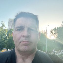 , 46 , 
