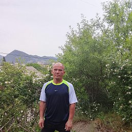 �����, 49 ���, ��������