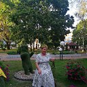 ���� ���������, �����, 66 ��� - ��������� 28 ������� 2025 � ������ ���� ����������