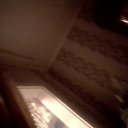 ���� �������, ������, 41 ��� - ��������� 28 ������� 2023 � ������ ���� ����������