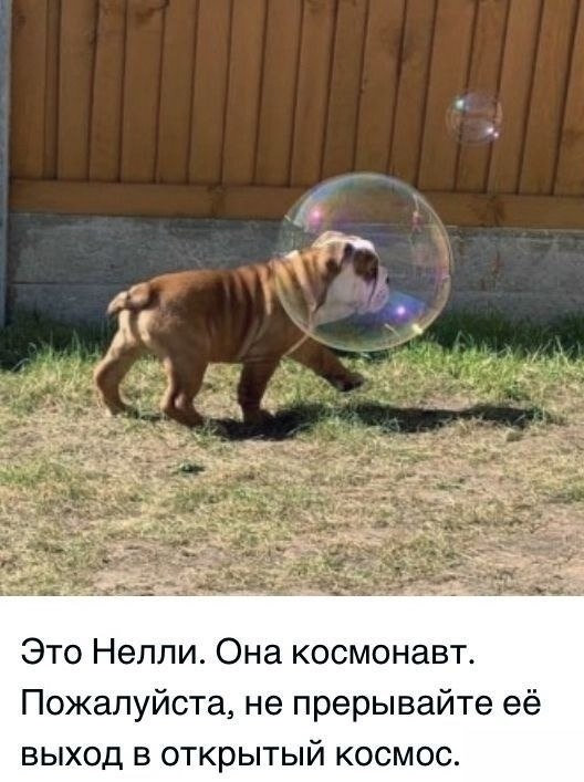   !
