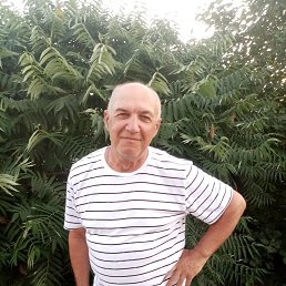 , 65, 