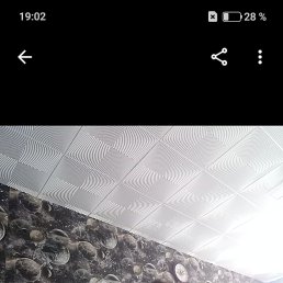 , 46, 