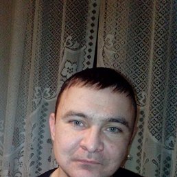 �����, 41 ���, ����