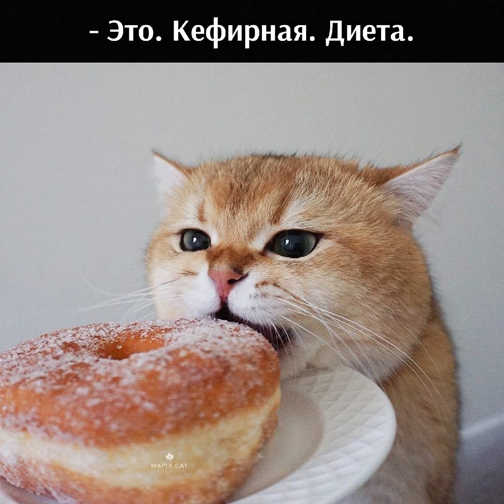 ��� ���� � ����� �� �� - 18 ����� 2026 � 22:30 - 4