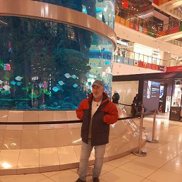 �����, ����, 56 ���