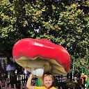  ,  , 59  -  14  2025