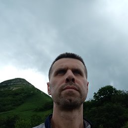 , 44, 