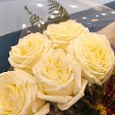 ���� �������, ������ - ��������� 23 ������� 2025 � ������ ���� ����������