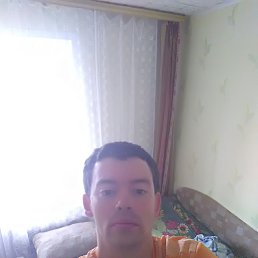 , 33, 