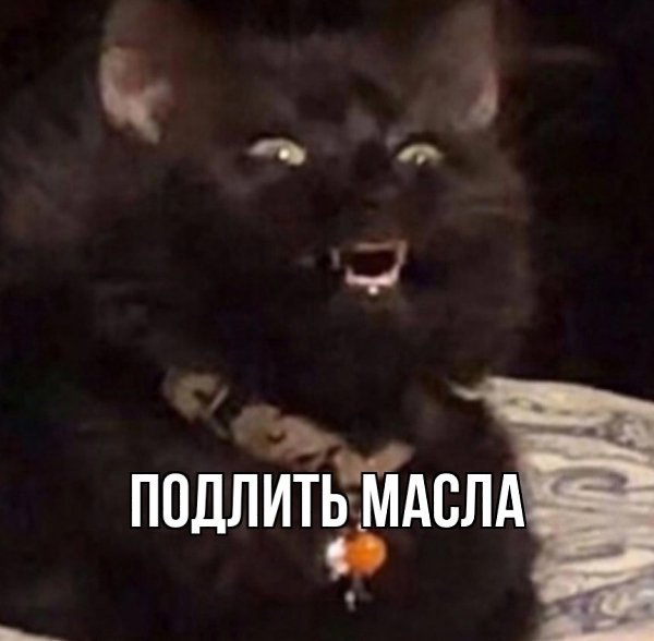   -  ,  -  - 16  2025  09:29 - 2