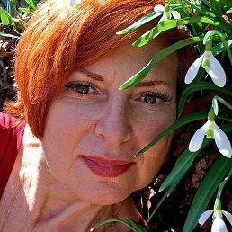 �����, �����������, 53 ����