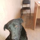 ���� ����, ���������, 45 ��� - ��������� 25 ��� 2024 � ������ ���� ����������