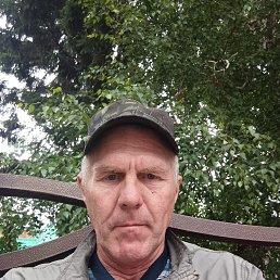 , 52, 