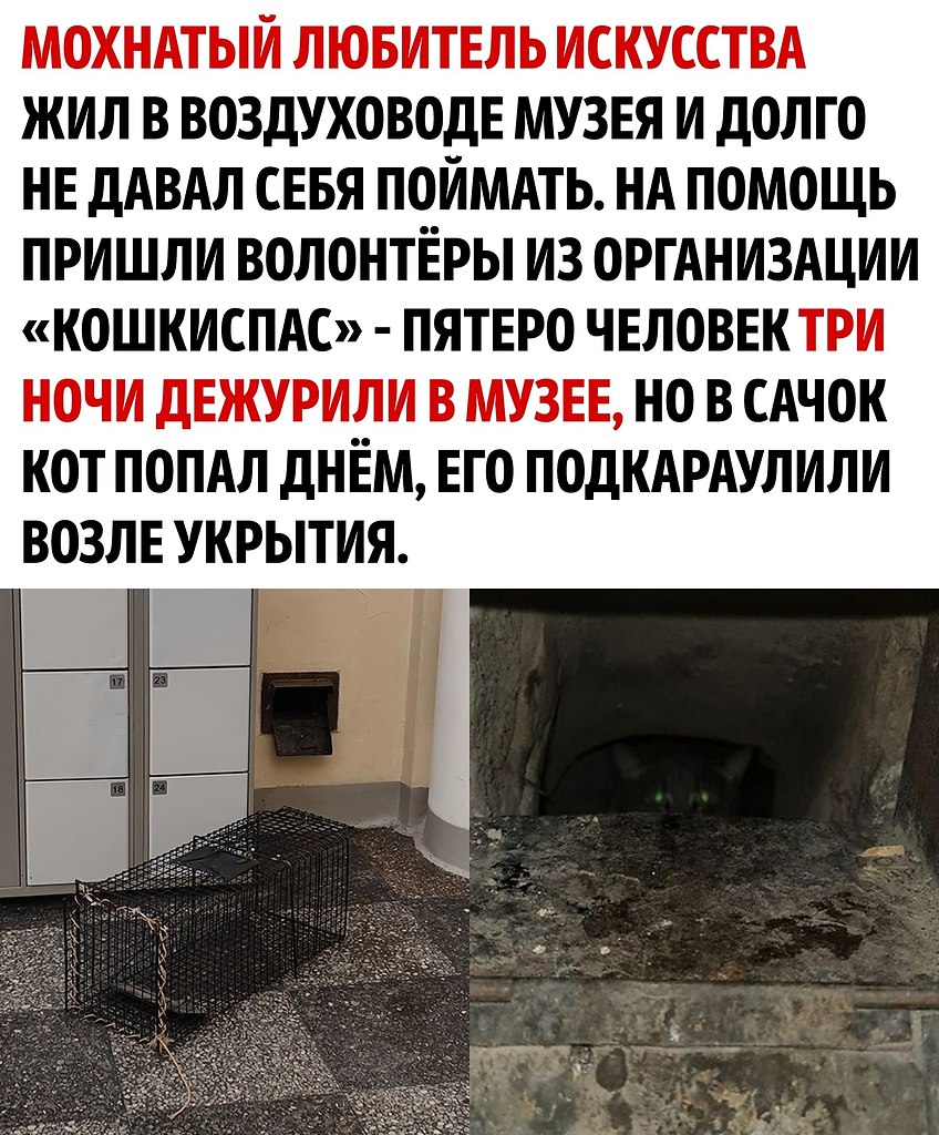    - 2