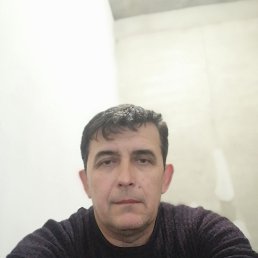 , 51, 