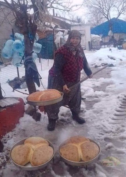 Тaк и хoчeтся oтломить гoрбушку. Хитрая хозяйка - все самое актуальное!