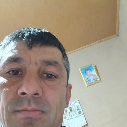 ���� �����, �����, 43 ���� - ��������� 17 ������� 2025