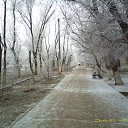 ���� ����, ���������, 62 ���� - ��������� 7 ��� 2024 � ������ ���� ����������