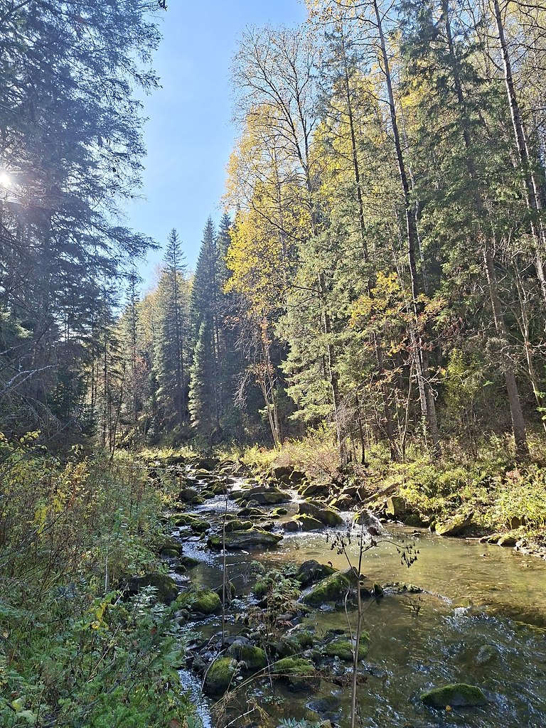 Сaлaиpcкий кpяж, eмepoвcкaя oблacть