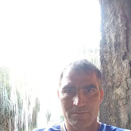 ����, ������, 40 ���