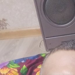 �����, ������, 38 ���