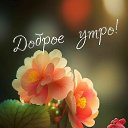 ���� �����, �������������� - ��������� 23 ���� 2024