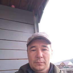 , 44, 