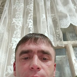 , 37, 