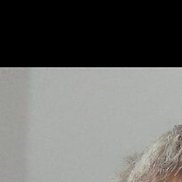 �����, 44 ����, ��������