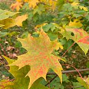 ���� ����������, ������ ��������, 53 ���� - ��������� 21 �������� 2025 � ������ ������ ��������