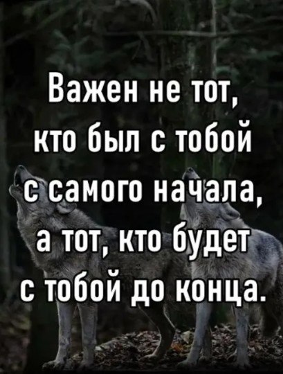     -,       -     ,     ...