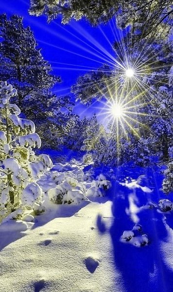 Природа продолжает удивляет своей красотой.#зима #природа #россия #путешествия #фотография - 8