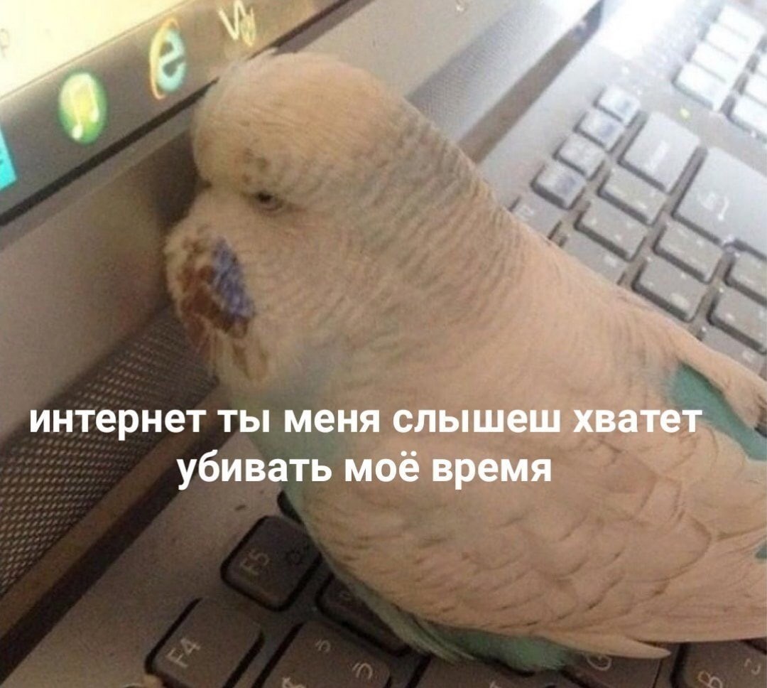 ��� �������� �������� - 26 ������ 2023 � 17:36