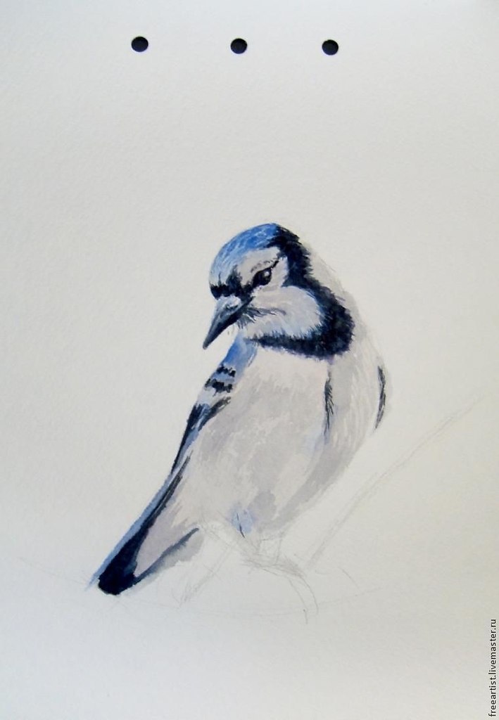  .    :1.  2.   3. ... - 7