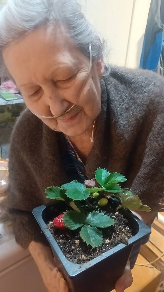     .    .   ,     ... - 3