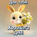 ���� ������, ������ - ��������� 7 ���� 2026 � ������ ������ ��������